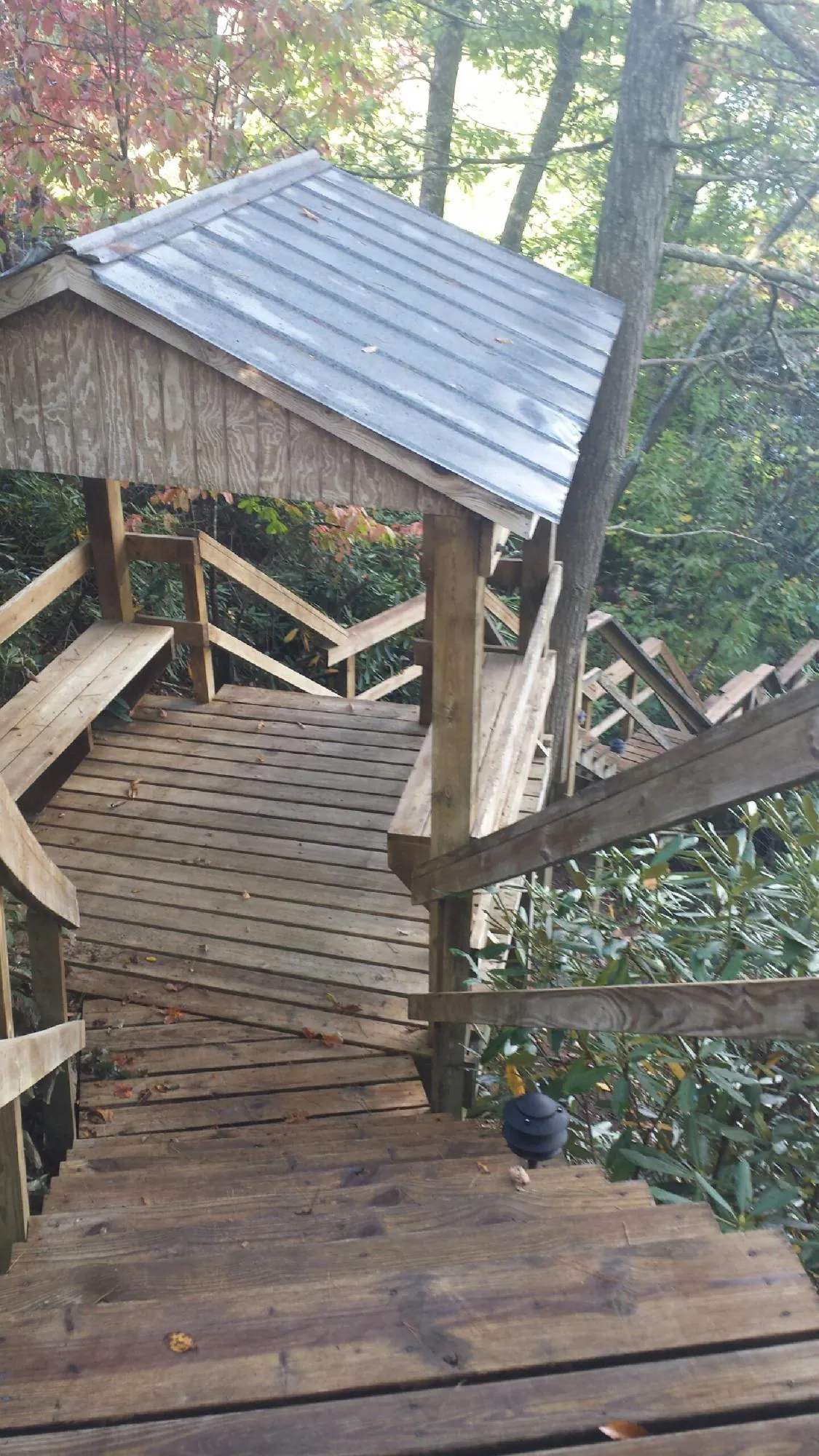 Metal roofed shelter over wooden steps on a wooded walkway — Skylight Repair & Installation work by our crew in Winter Garden
